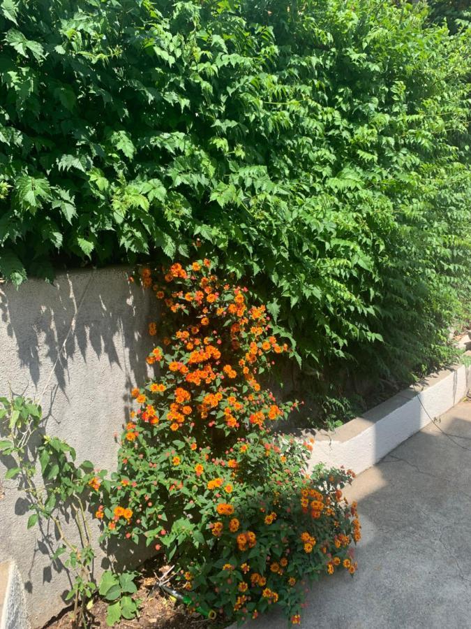 Aida Apartments And Rooms For Couples And Families Free Parking Ντουμπρόβνικ Εξωτερικό φωτογραφία
